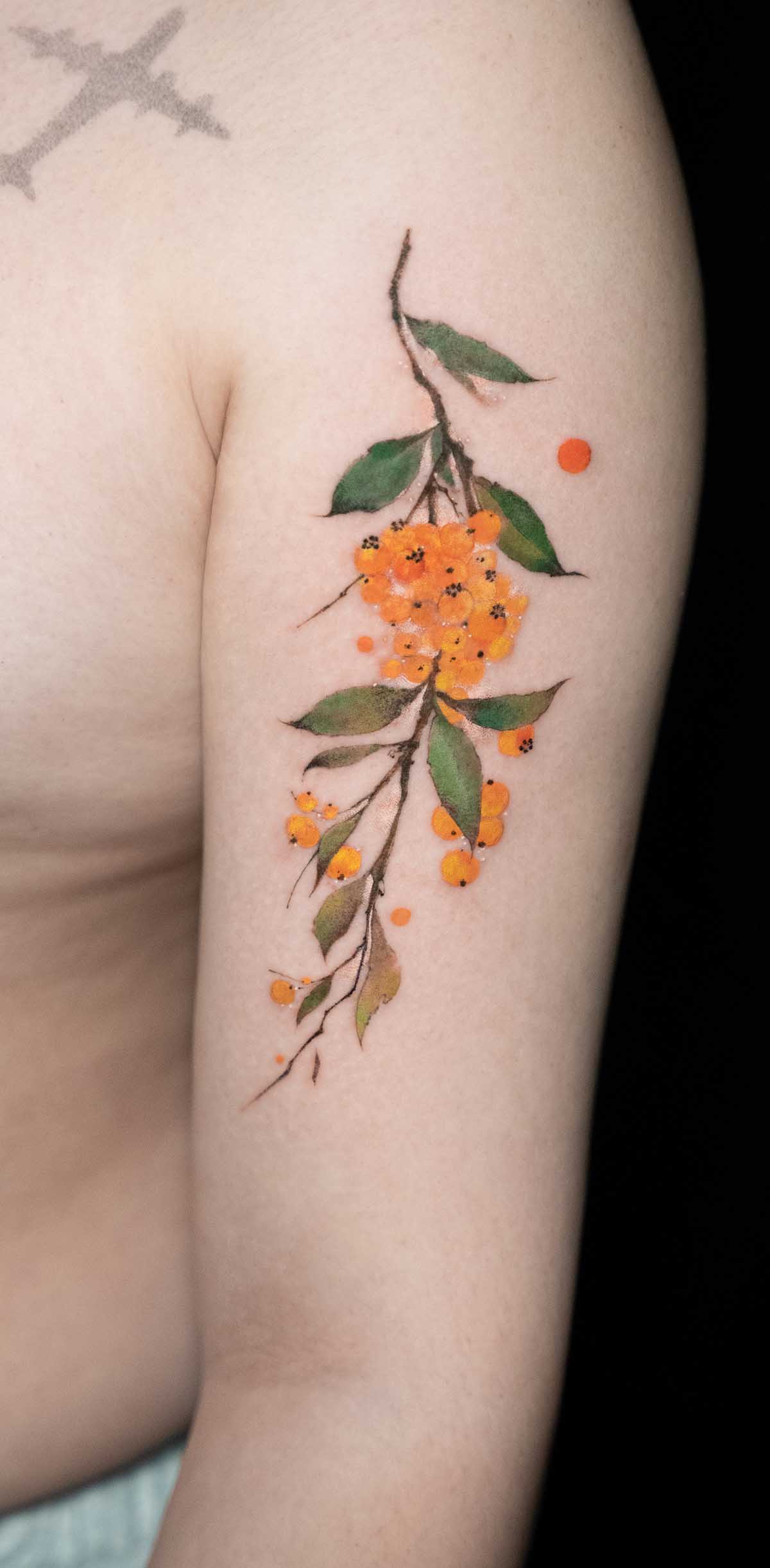 DSC01522-恢复的 拷贝.jpg